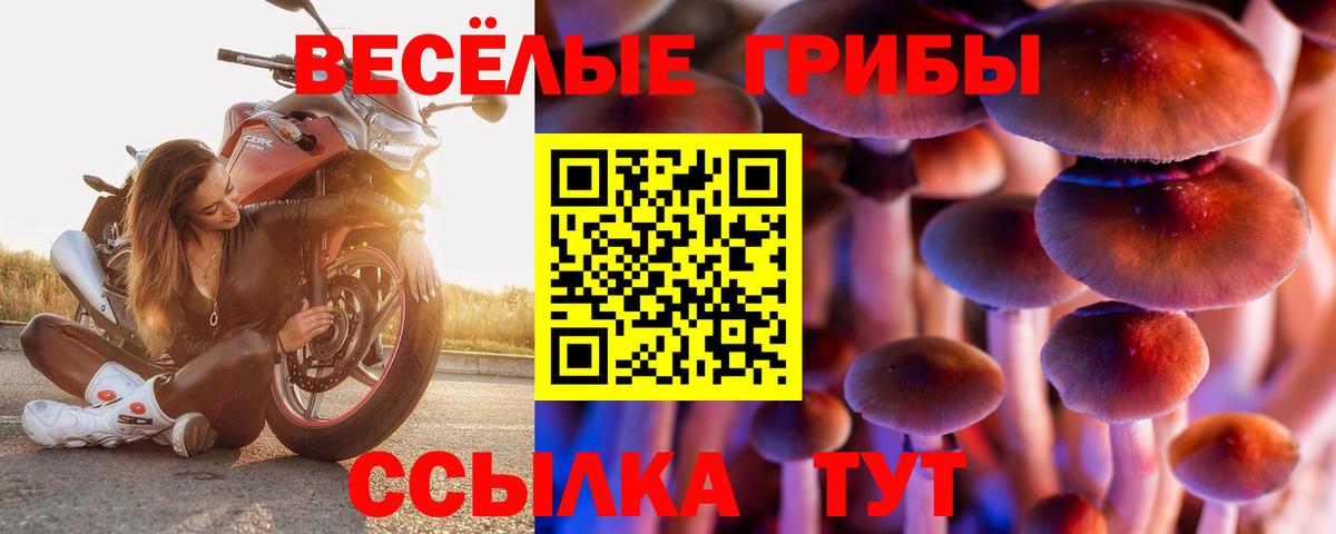 Галлюциногенные грибы Magic Shrooms Топки