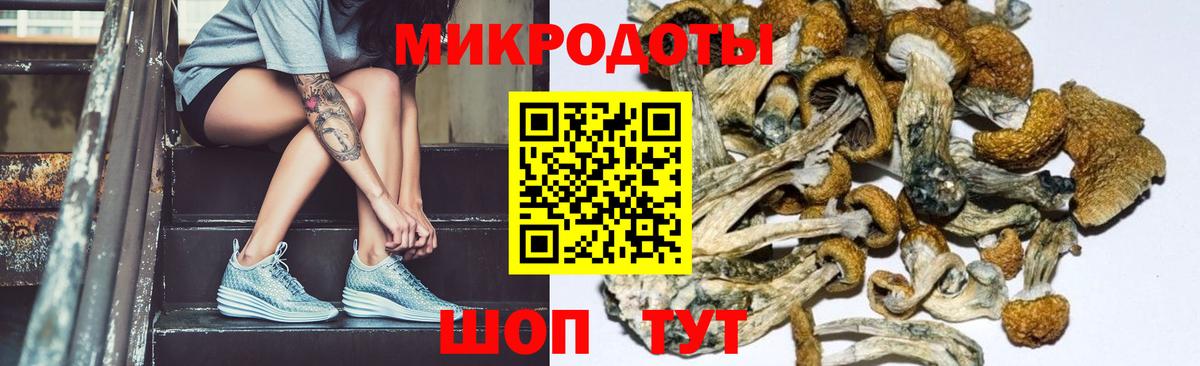магазин продажи наркотиков  Псилоцибиновые грибы ЛСД  Вход с VPN  Топки  Галлюциногенные грибы Psilocybine cubensis 